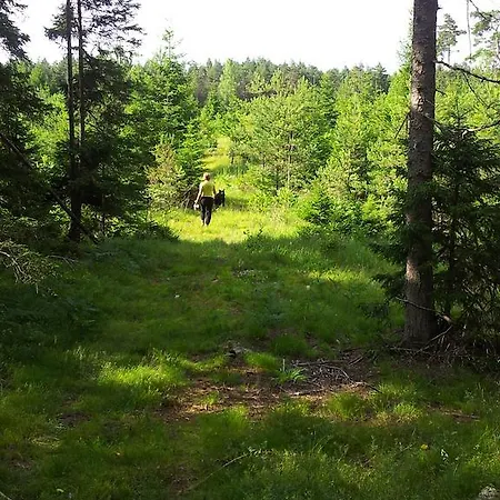 Manniste Holiday Puhkemaja *