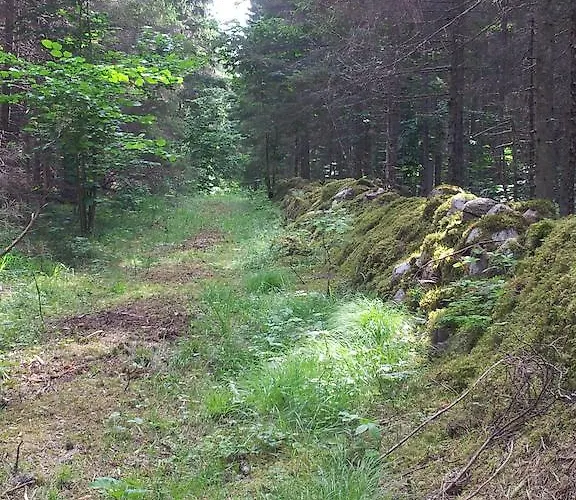 Hébergement de vacances Maenniste *