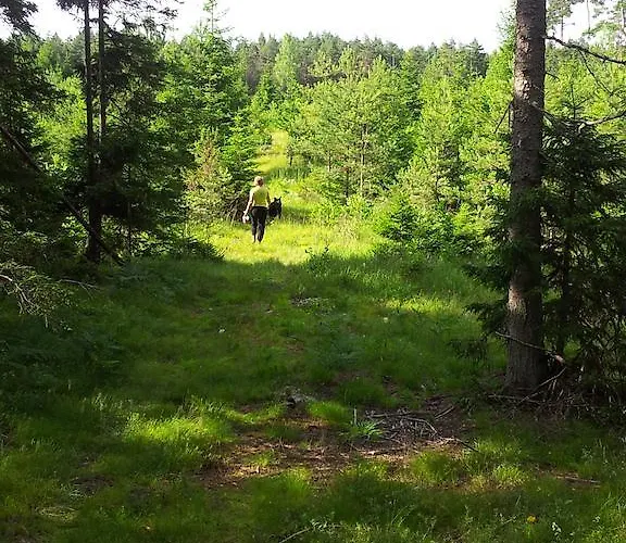 Maenniste Tatil Evi *